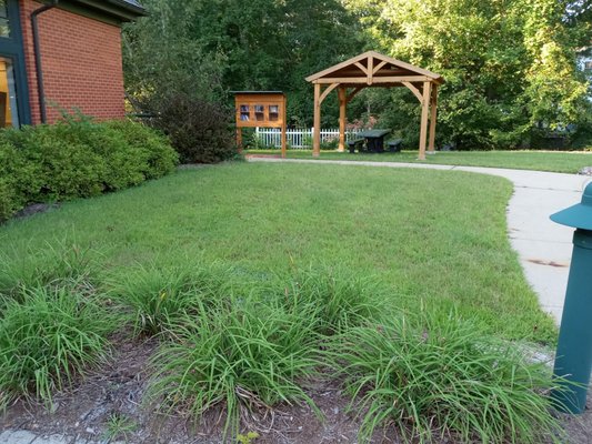 New Little Free Library and Picnic area