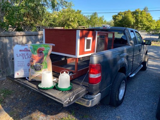 We bring everything to you - the coop, two egg-laying hens, a feeder and waterer, and enough feed and coop bedding to last the rental period