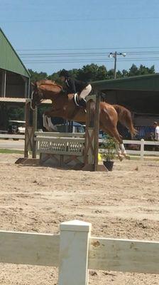 Trainer Karema Moheisen showing her horse at the AA rated Elite Show Jumping in Pensacola, FL