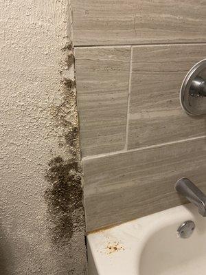 Mold and rust buildup