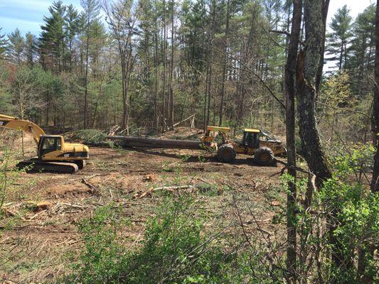 Skidder pulling trees to the landing to be processed.