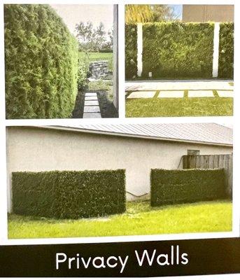 artificial grass privacy walls