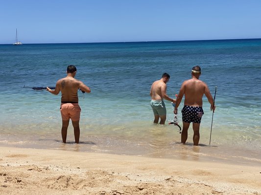 Calm ocean for beginner spear divers.