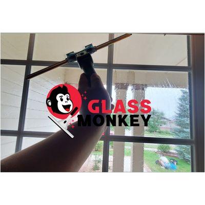 Glass Monkey Logo