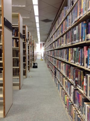 A quiet moment along the back wall of books.