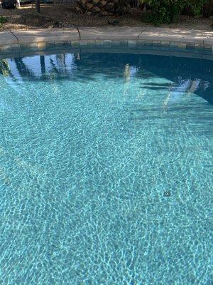 Another shot of a sparkly clean pool