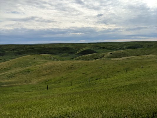 Fort Pierre National Grassland