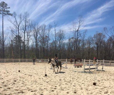 Wonderful horses & facility!