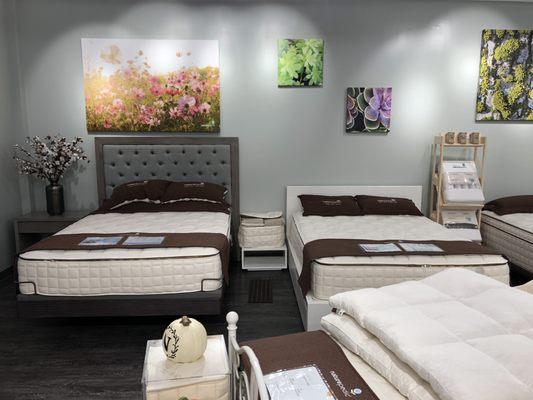 Naturepedic Organic Mattress Gallery Showroom