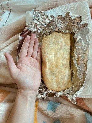 Good size burrito