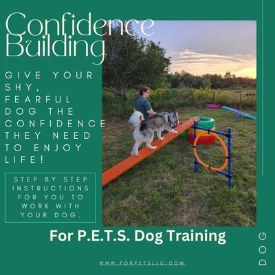 Dog Training Information