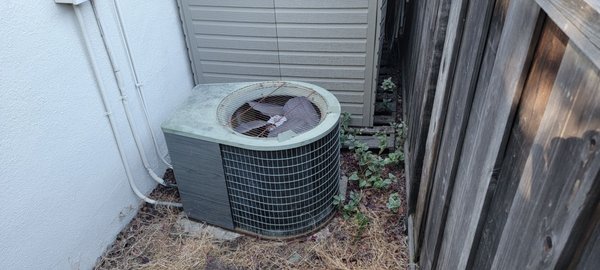 AC unit after 3 technician dispatches and a professional cleaning!