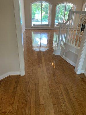 Polished wood floor