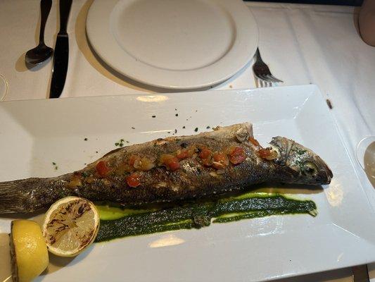 Branzino