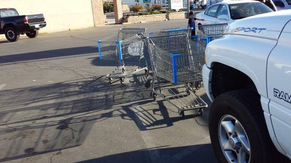 Carts all over the parking lot