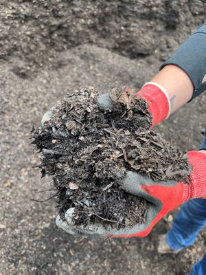 Bulk Leaf Mulch.