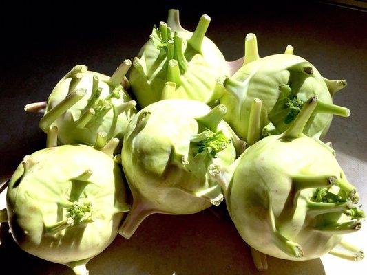 6 kohlrabis so pretty & fresh, gonna to pickle them.  $1 each, cheaper & fresher than supermarket.   9/30/2017