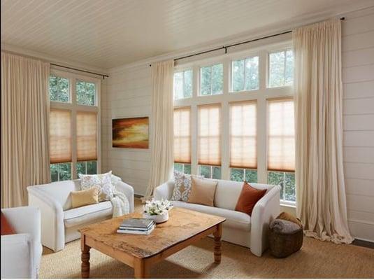 Cellular Shades which are stylist, budget friendly.