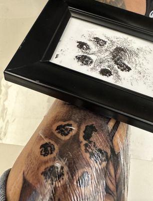 Dog's Paw Print