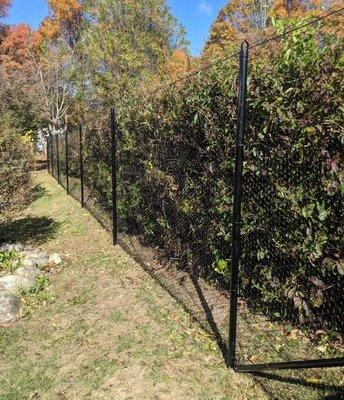 Black vinyl coated hex wire AKA Deer Fencing