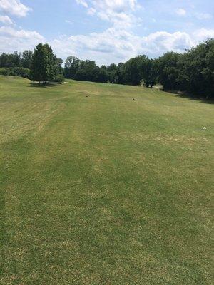 First hole. From the tee box. (Watch the water down on the left!!)