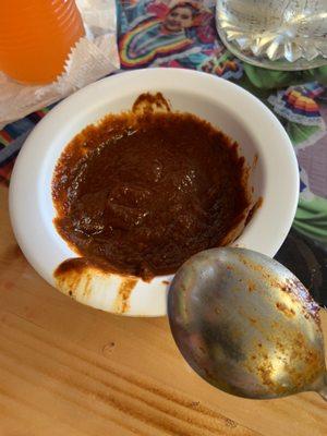 Mole sauce. Spicy and tasty