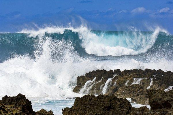 Pipeline Waves in Oahu Hawaii