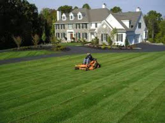 We treat all Our clients as family and treat every home and yard as our own.