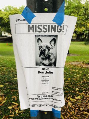 Poor Don Julio! I hope he made it home.