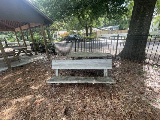 Bench in the Shade