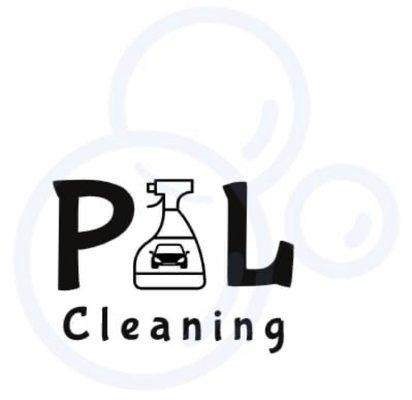 P&L cleaning