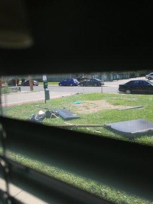 Move out day, kids just smashed up their furniture in the yard.