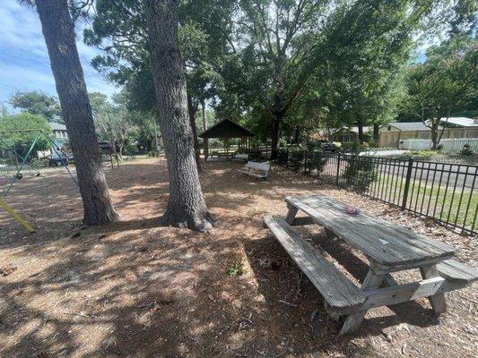 Shaded Picnic Table