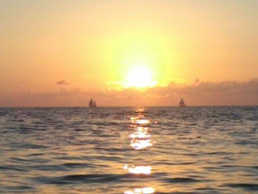 Anna Maria Island Sunset Cruise