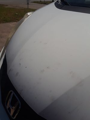 Greasy fingerprints on my hood. Will be going to the car wash soon!