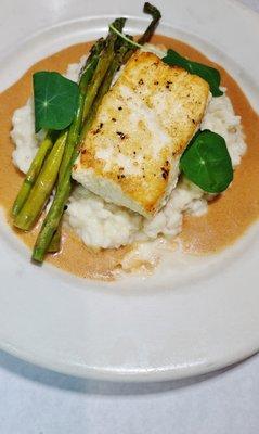 Halibut