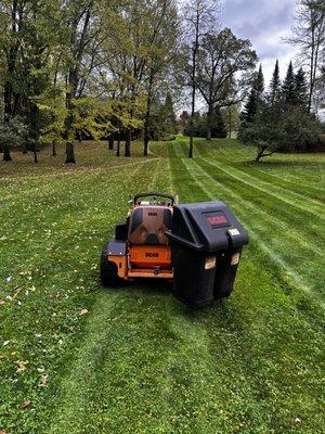 leaf cleanup weston wi