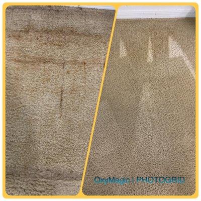 Before and after of carpet cleaning