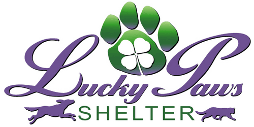 Their Logo! www.LuckyPawsAZ.org