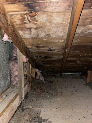 Impacted mold on wood members throughout Attic....