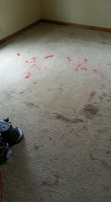 Dirty carpet with red dye