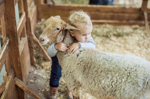 Mobile Petting Zoo Virginia