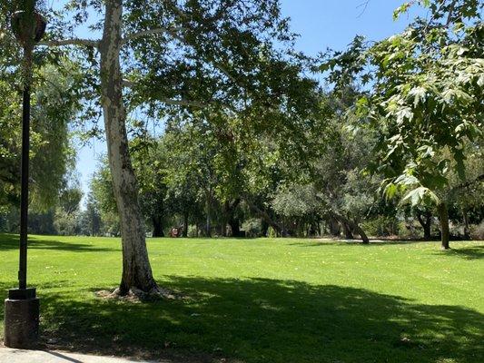 Along the trail - located at Higginbotham Park.