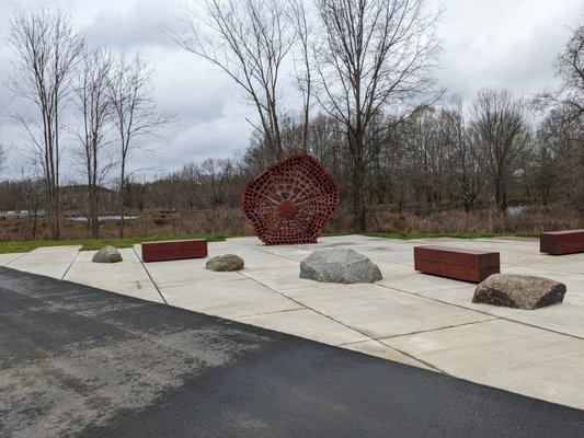 Stem in Marsh Park, Pineville