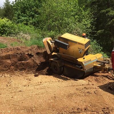 RIch Ezetta Stump Grinding