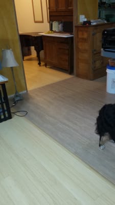 My new bamboo floor and LVT.