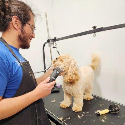 Our groomers love our pet clients