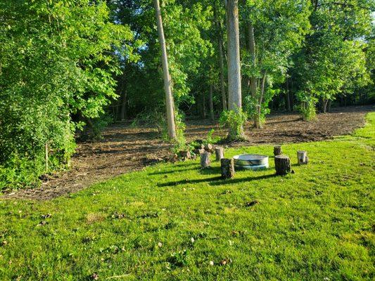 Michigan Land Clearing and Excavation