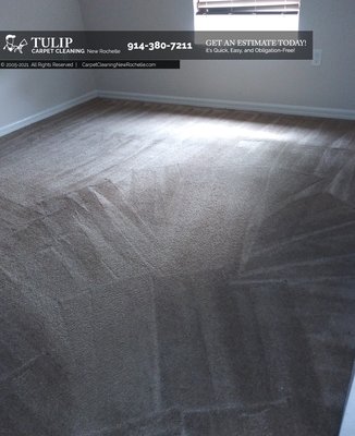 Tulip Carpet Cleaning New Rochelle