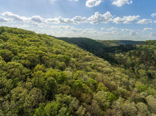 The breathtaking Missouri Ozark's!